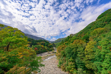 秋の訪れを感じる日光の渓流と山々、清々しい風が吹き抜ける風景
