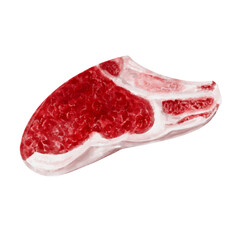 marbled beef. piece of meat for steak. fillet and bone. lamb, pork. watercolor illustration isolated from background. juicy raw red meat for barbecue. Meat lunch. Ingredients for meat