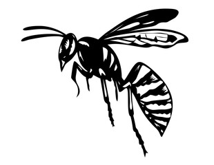 Retro woodcut style illustration of a Boils potter wasp or mason wasp flying viewed from side on isolated background done in black and white.