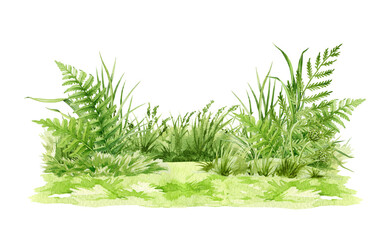 Green fresh grassy background watercolor illustration. Lush grass close up landscape natural element. Fern, grass, fresh herbs and natural plant in floral design element isolated on white background