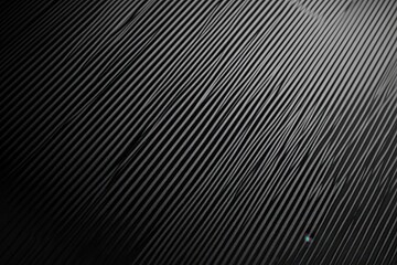 Fototapeta premium Abstract gray lines texture background design