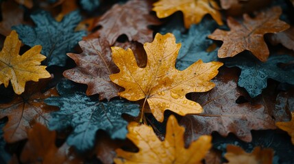 Autumn Leaves with Raindrops - Golden and Dark Tones