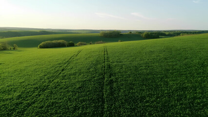 Fototapeta premium A drone view of a regenerative farming landscape with lush crops and healthy soil