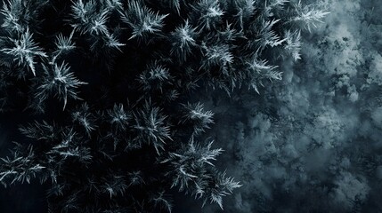 13. The contrast of a dark green pine tree covered in frosty ice crystals, set against a snowy, icy winter landscape