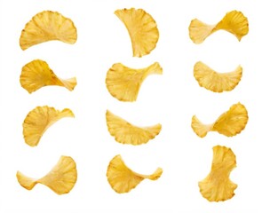 Naklejka premium Circular arrangement of nine freshly baked vibrant yellow potato chips on white background, showcasing various sizes and shapes.