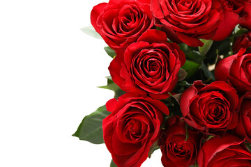 Bouquet of red roses, space for text, isolated on white background, PNG