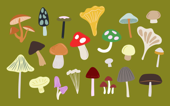 Variety of Mushrooms Vector Illustration Full Set. Fungi. Colorful. 