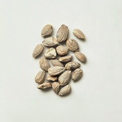 Obraz premium Scattered pile of apricot kernels on white.