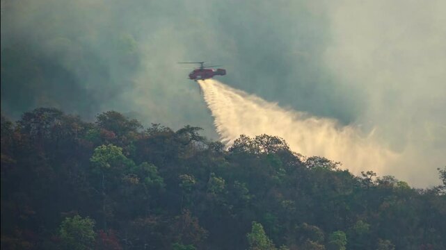 Fire fighting helicopter dropping water to extinguish the forest fire.