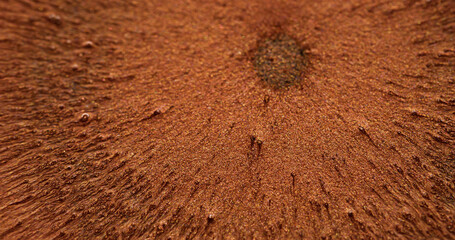 Glitter explosion. Shimmering spill. Copper ink fluid central sun spray sparkling liquid particles...