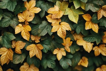 Fototapeta premium Autumn leaves wall texture background design