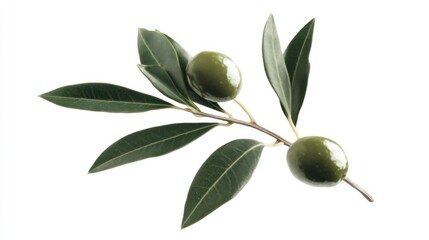Green Olives Branch: Nature's Bounty, Freshness, and Mediterranean Essence