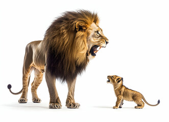 Obraz premium Roaring Majesty, A Captivating Encounter Between a Majestic Lion and its Adorable Cub Against a Stark White Backdrop, Evoking a Sense of Awe and Wonder