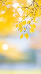Obraz premium Autumn leaves bokeh, blurred background, nature, tranquility, perfect for backgrounds