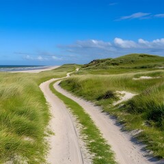 Scenic Coastal Path Through Lush Green Dunes and Sandy Shoreline