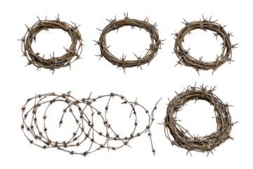 set of barbed wires cut out isolated on white or transparent background