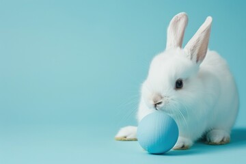 Cute little white bunny holding Easter eggs on a light blue studio background