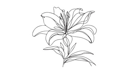 Continuous one single minimal line drawing Lily