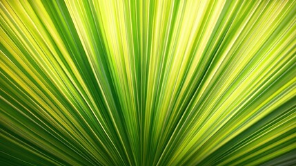 Obraz premium Vivid Green Palm Frond Radiating Lines