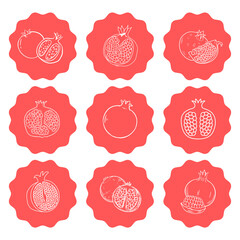 Pomegranate template logo design. Vector illustration