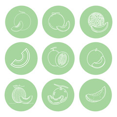 Melon template logo design. Vector illustration