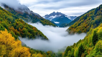 Serene Valley Landscape with Misty Mountains and Colorful Foliage