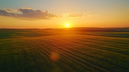 Fototapeta premium Drone Over Vineyard at Sunset, A drone flying over a lush green vineyard at sunset, with rolling hills in the background