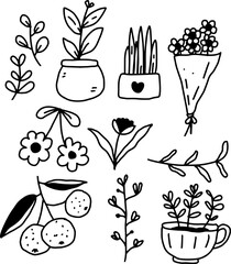 outline flowers and plants design for templates.
