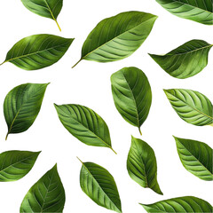 Fototapeta premium Lush Green Leaves Abstract Colorful Stripes Nature Design,