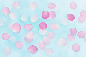 Colorful flower petals scattered across a soft blue background creating a serene and calming atmosphere