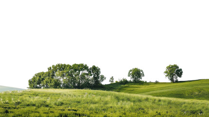 Obraz premium Green hills and trees expanding over a transparent background