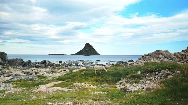 Andoya landscape with Bleik island, or Puffin island, Northern Norway