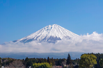 Fototapeta premium 白糸の滝駐車場からの富士山