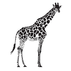Naklejka premium Giraffe silhouette design for t-shirt and logo.