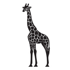Fototapeta premium Giraffe silhouette design for t-shirt and logo.