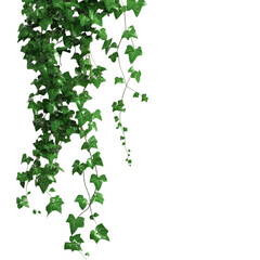 Lush Green Ivy Climbing Abstract Background