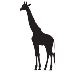 Giraffe silhouette design for t-shirt and logo.