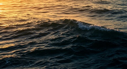 Fototapeta premium This image captures the natural beauty and power of the ocean at sunset, with rolling waves illuminated by warm golden light and visible foam