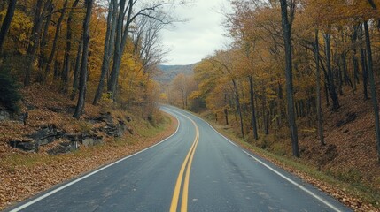 Obraz premium Winding road through autumn trees shows scenic mountain highway