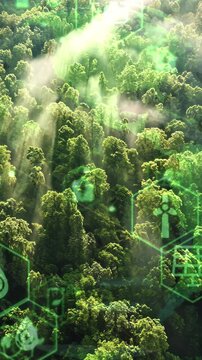 Green forest aerial view and environmental technology concept. Green tech. Ecology. Green transformation. GX. SDGs.