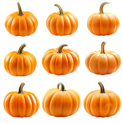 Nine orange pumpkins colorful background autumn harvest