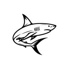 Fototapeta premium a illustration of shark
