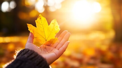 Hand Holding a Bright Yellow Maple Leaf Against Autumn Sunlight : Generative AI
