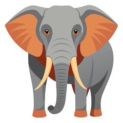 elephant vector