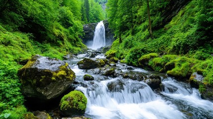Fototapeta premium Serene Waterfall Cascading Into Lush Green Forest Landscape