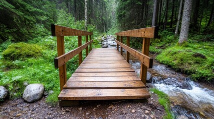 Fototapeta premium Wooden Bridge Over Tranquil Stream in Lush Forest Environment