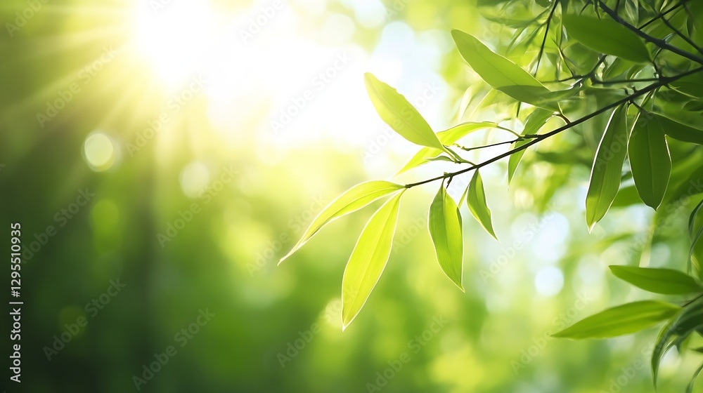 Poster beautiful sunlight filtering through fresh green leaves in a serene forest setting : generative ai