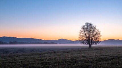Solitary Tree Silhouetted Against a Colorful Sky at Sunset Creating a Majestic Natural Scene : Generative AI