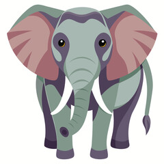 elephant vector