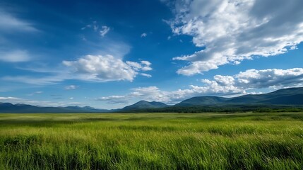 Obraz premium Expansive green meadow under a bright sky with fluffy clouds and distant mountains : Generative AI
